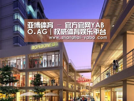 案例展示一(图1)