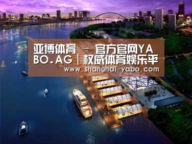 案例展示八