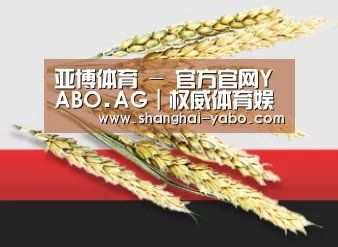 亚博体育 - 官方官网YABO.AG｜权威体育娱乐平台